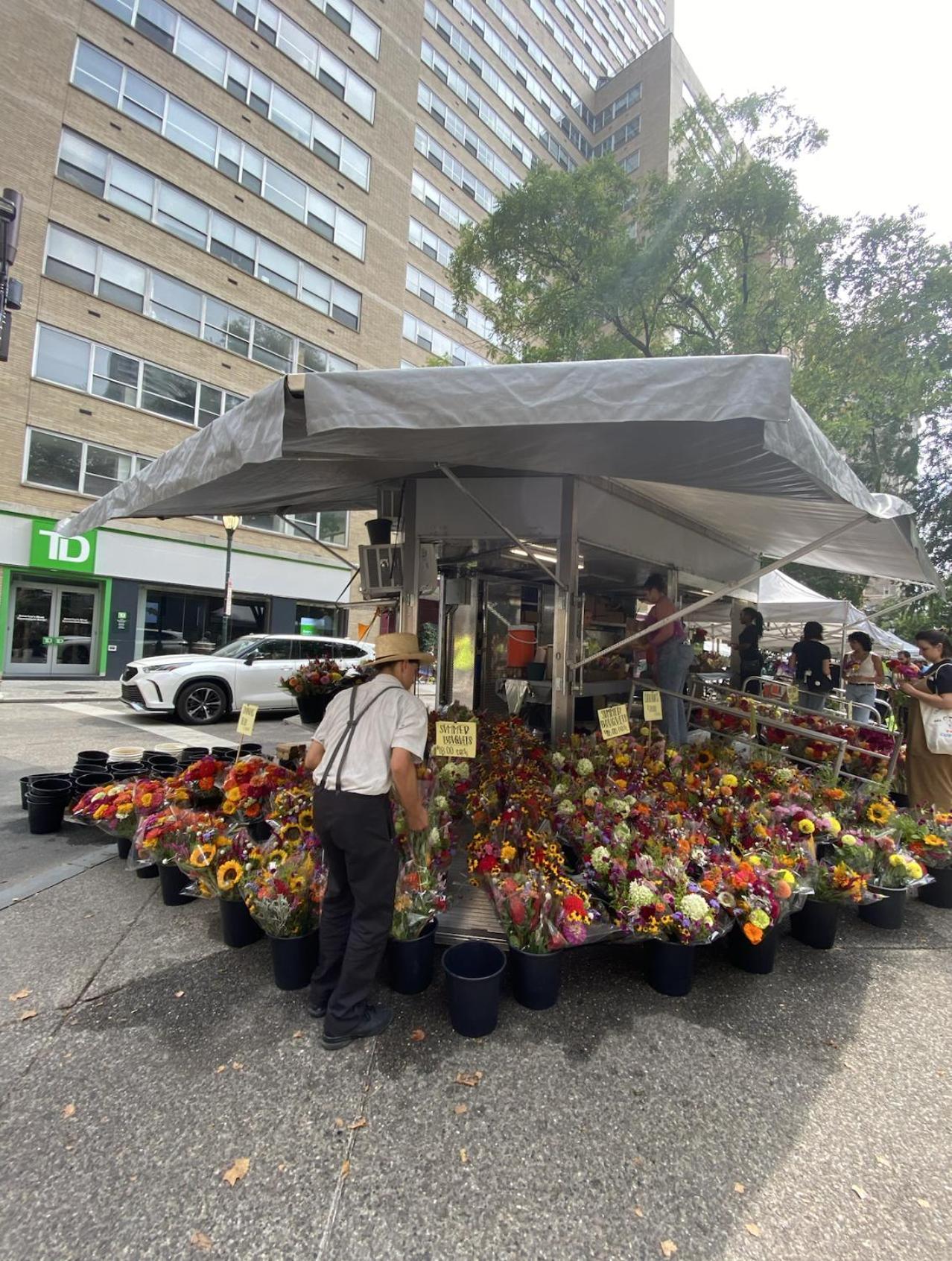 Legacy - Spring Garden * Filadelfia